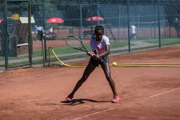 Noma Noha Akugue 294 - Amato Caffe Open